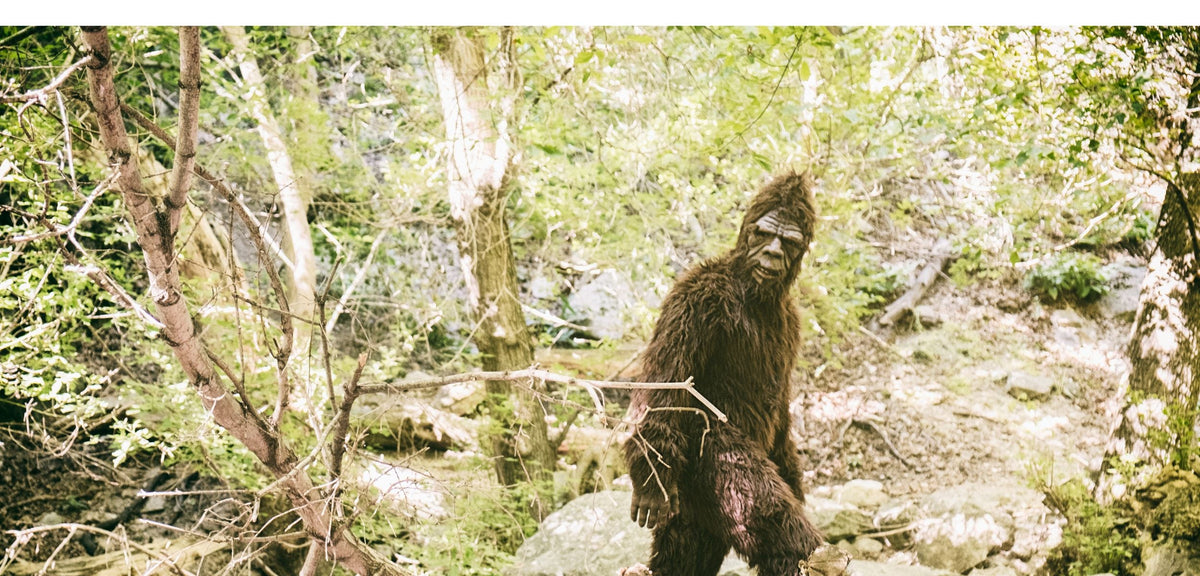 Squatch Gear