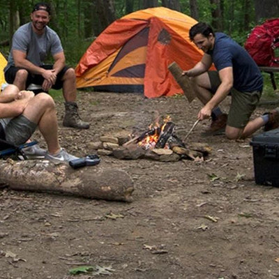 Insect & Pest Control