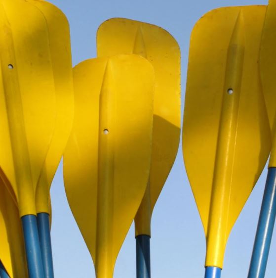 Paddles & Accessories