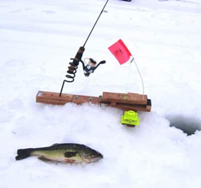 Rods, Reels & Tip Ups