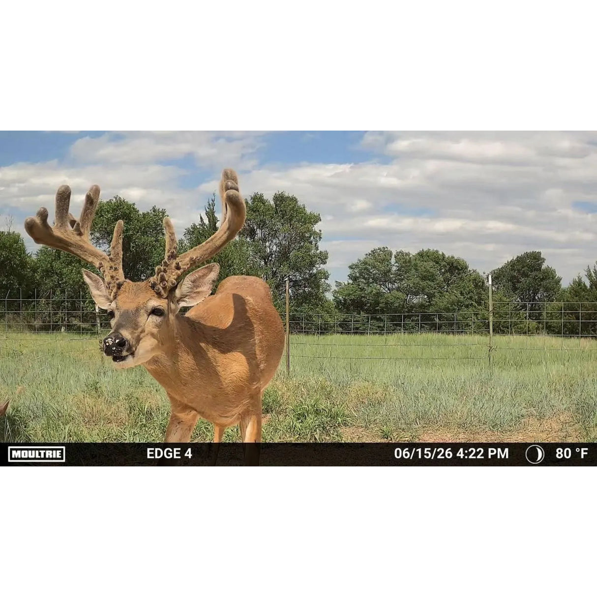 Moultrie Edge 4 Cellular Trail Camera 40mp
