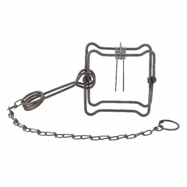 Duke 110 Body Grip Traps