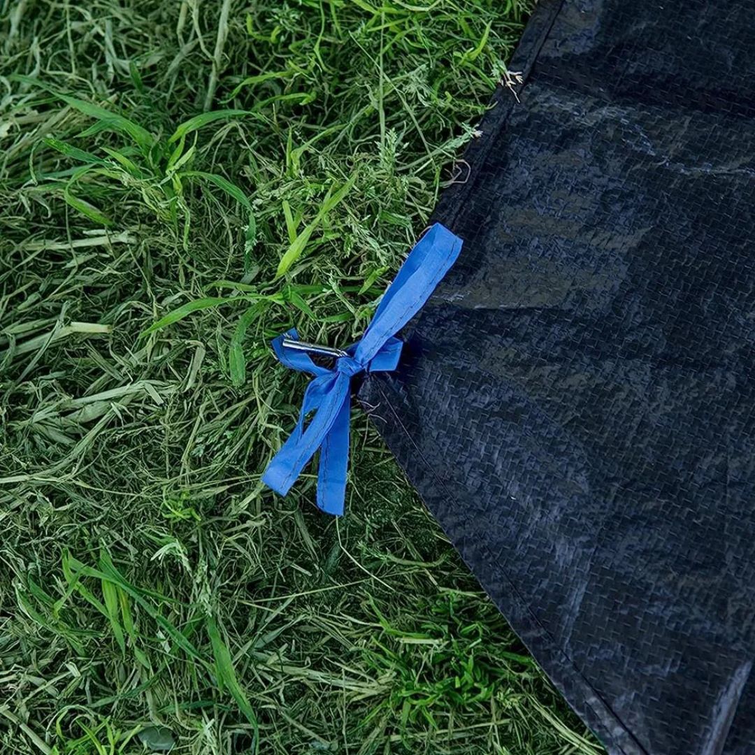 WFS Beach Cabana Front