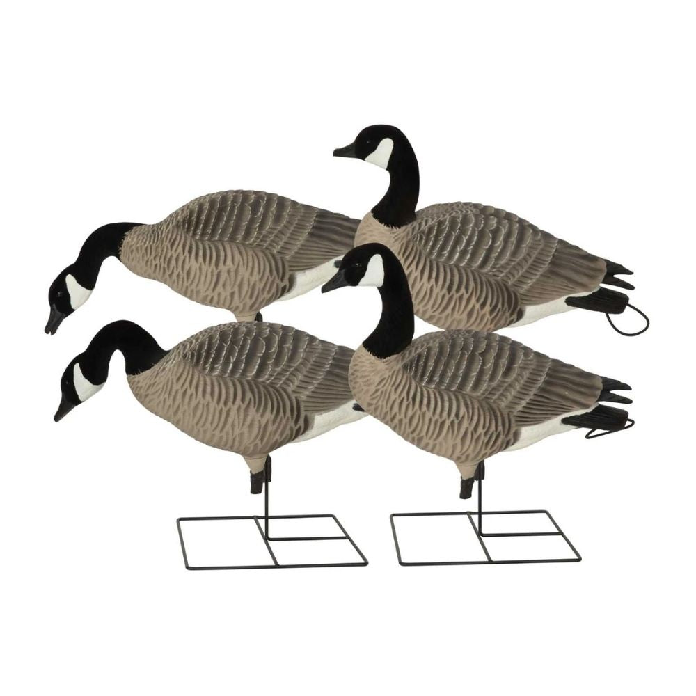 AVERY 4-Pack Pro Grade XD Full Body Canada Harvester Decoys (71563)