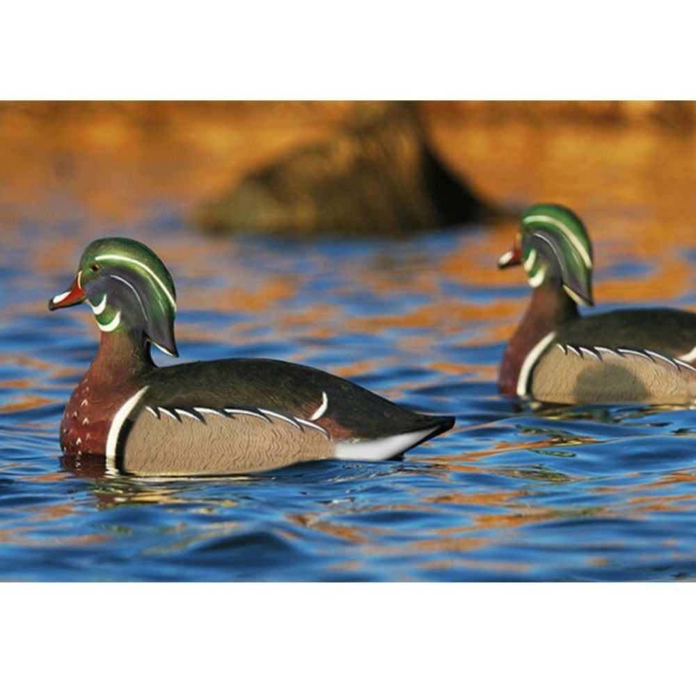 GHG Life-Size Wood Duck Decoy 6PK
