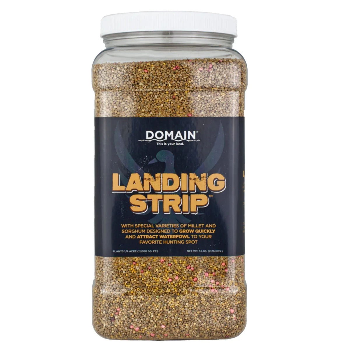 Domain Landing Strip Seed 1/4 Acre