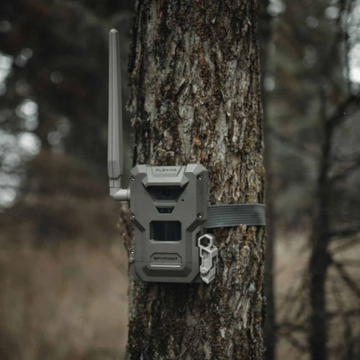 Spypoint Flex-M2 Cellular Trail Camera (2 Pack)