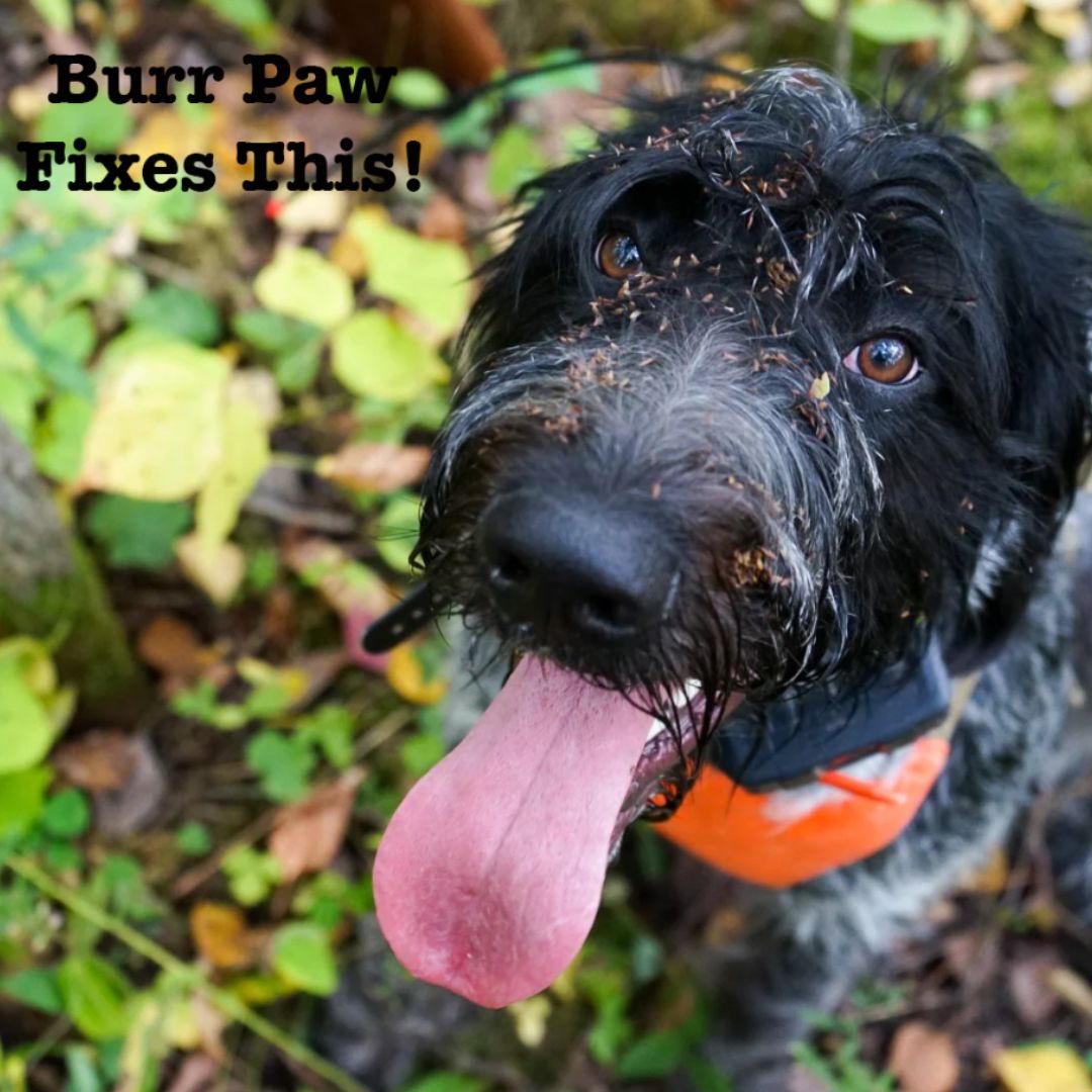 Burr Paw - Stickers and Burrs Removal Mitten