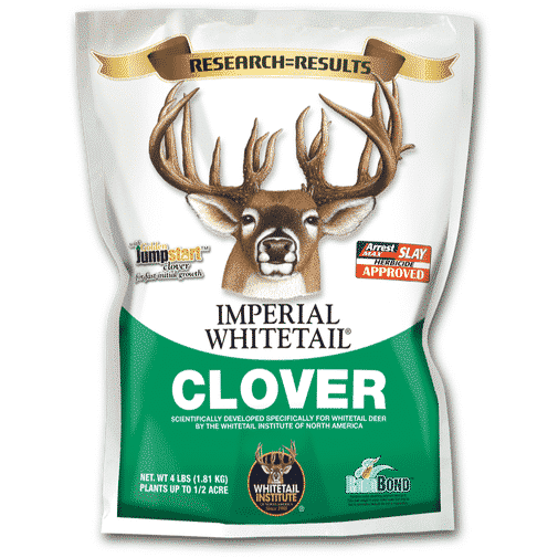 Imperial Whitetail Clover