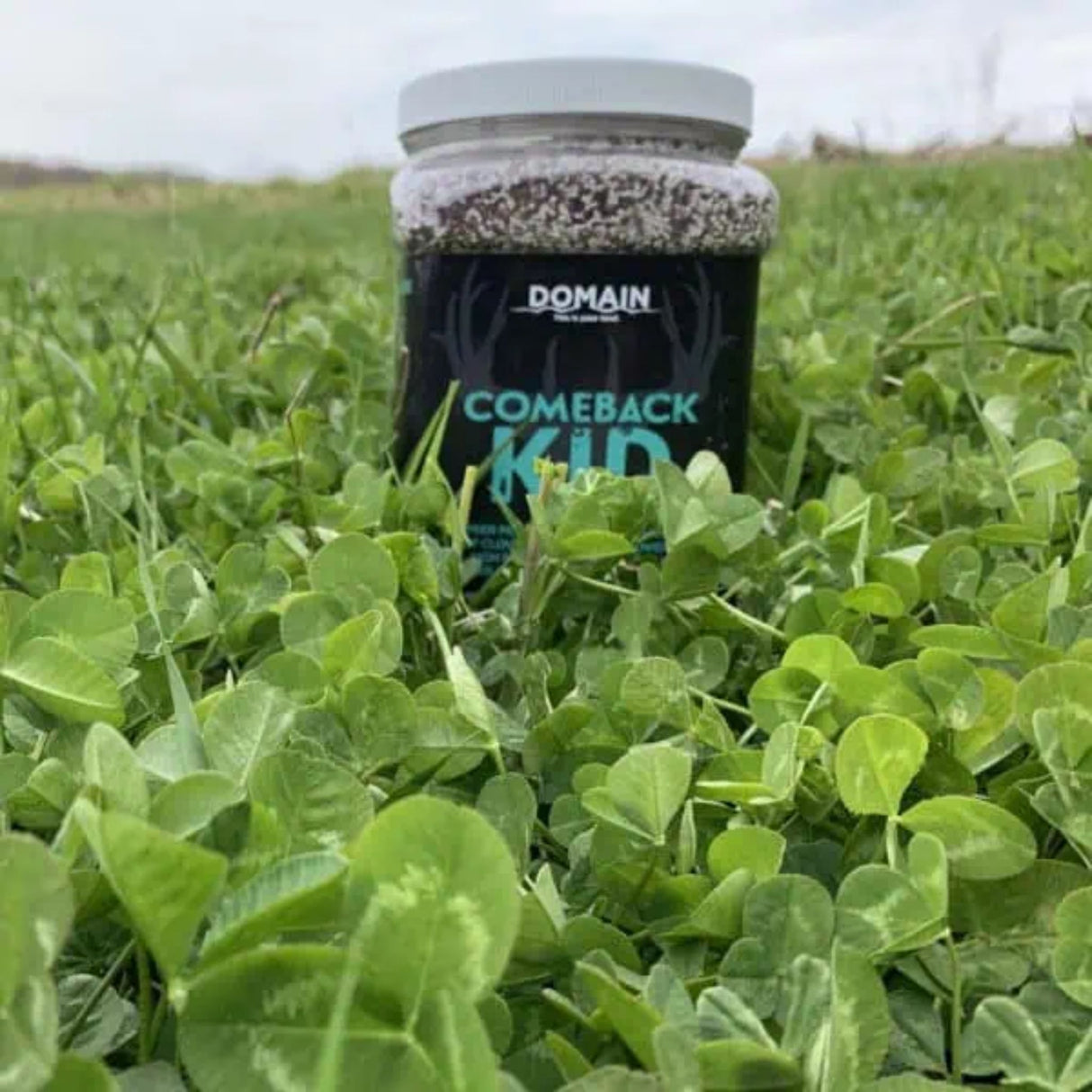 Domain Outdoor Food Plot Seed Comeback Kid 3.75lb Jug (Plants 1/2 ACRE)