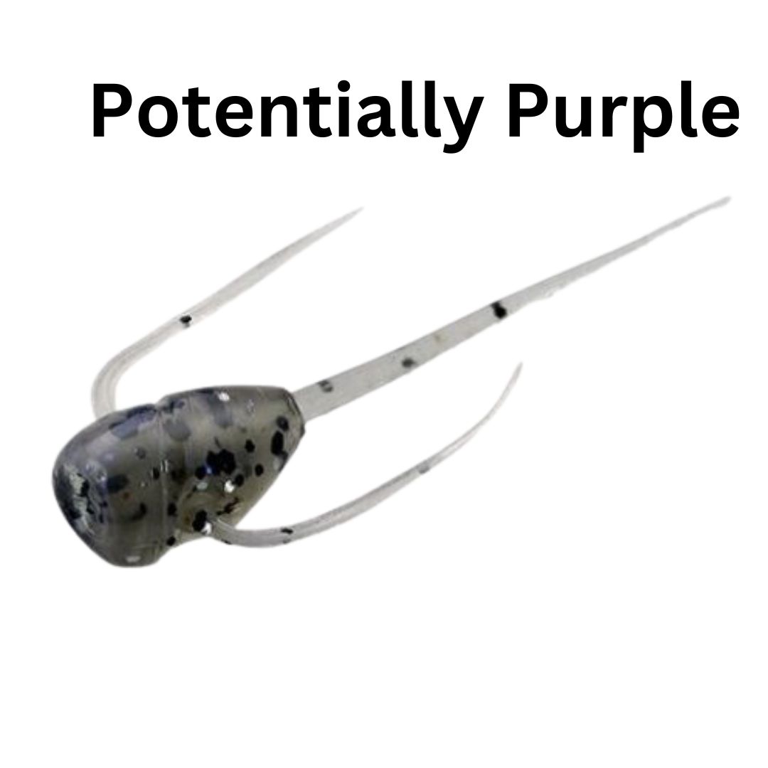 13 Fishing Paralyzer