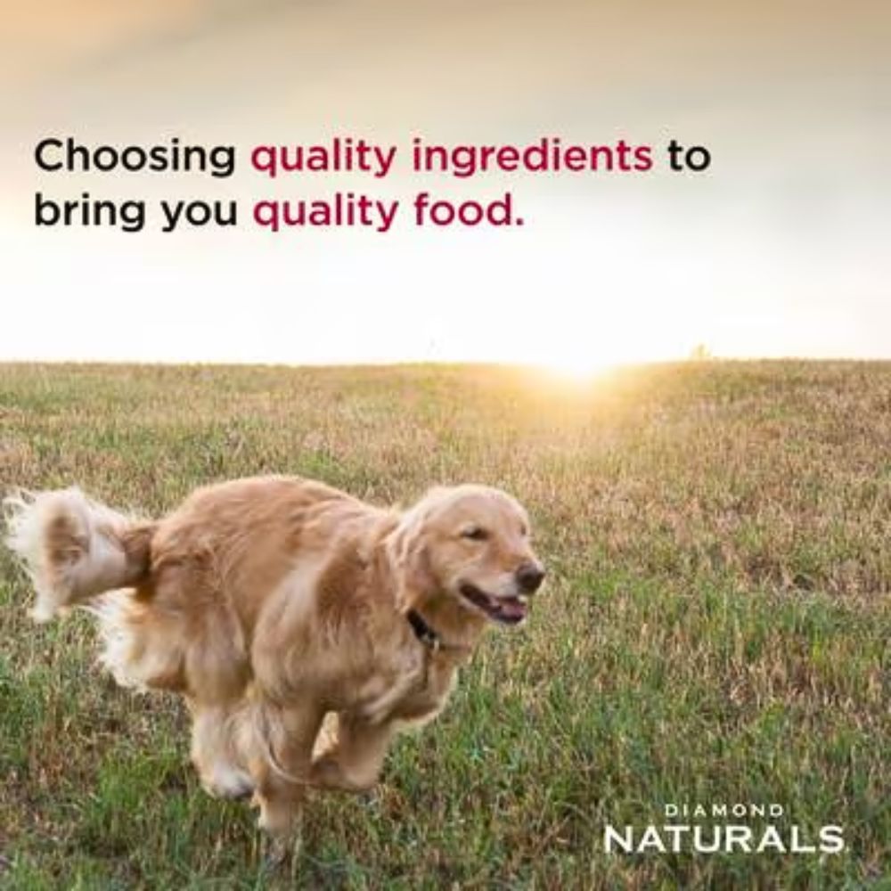 Diamond Naturals Dog Chicken & Rice 40# 26/16