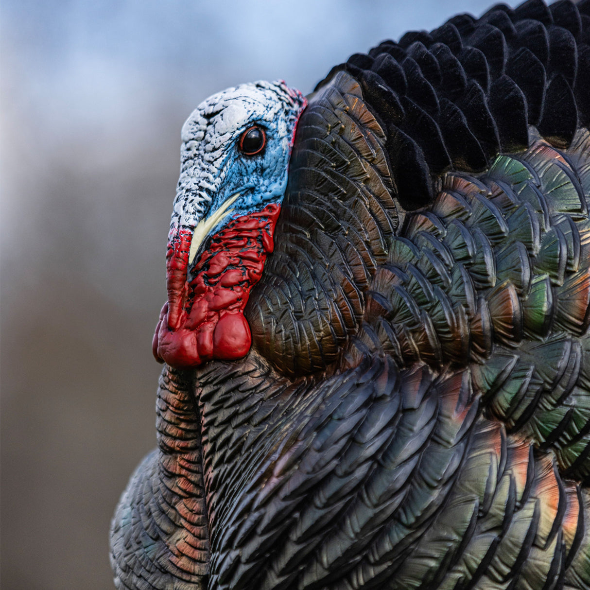 Avian-X HDR Strutter AVX-AVX8108