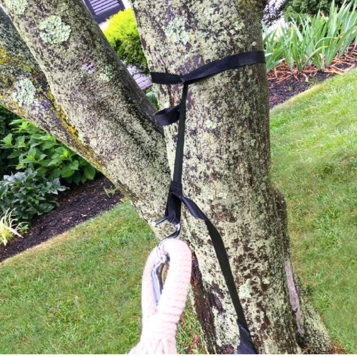 Hammock Tree Straps w/ Loops, Adjustable