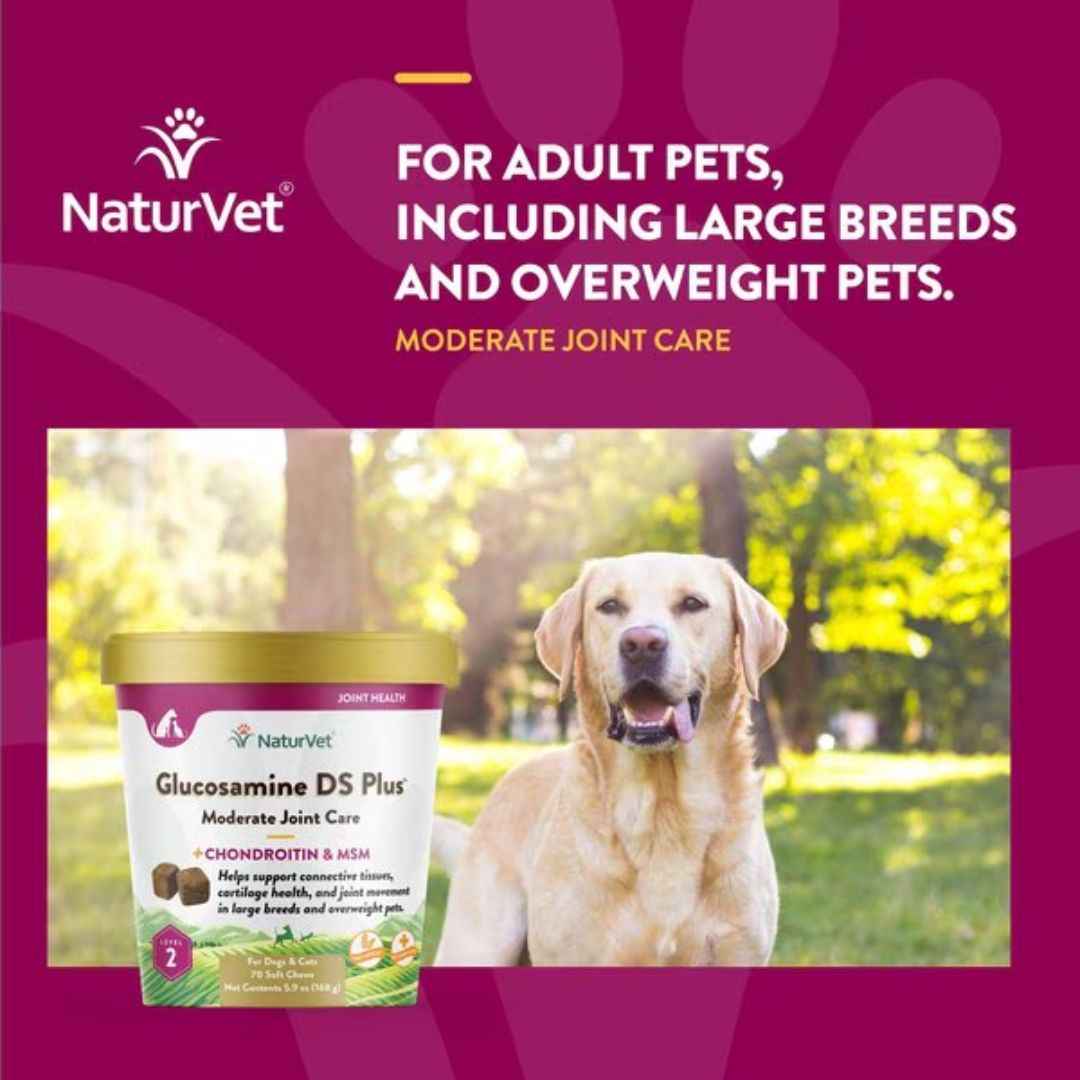 NaturVet Glucosamine DS Plus Level 2 Soft Chew - Cup