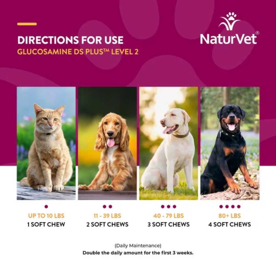 NaturVet Glucosamine DS Plus Level 2 Soft Chew - Cup