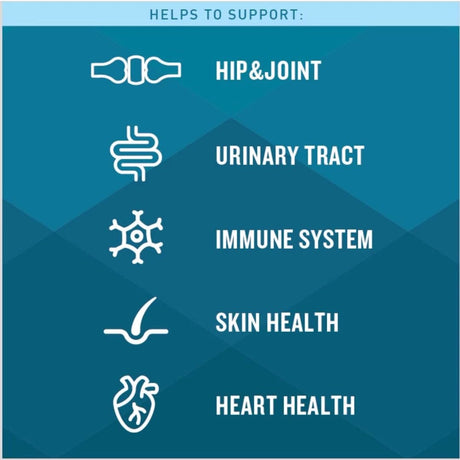 VetIQ Multi Benefit 5in1 Dog Chews 60ct