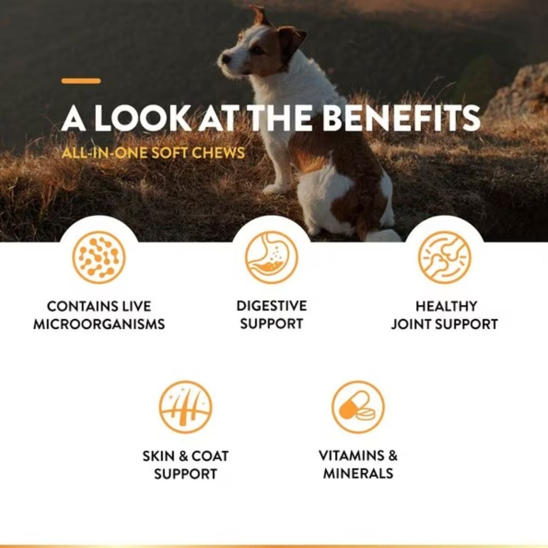 NaturVet All-In-One Soft Chew - Cup