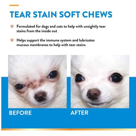 NaturVet Tear Stain Plus Lutein Soft Chew - Cup