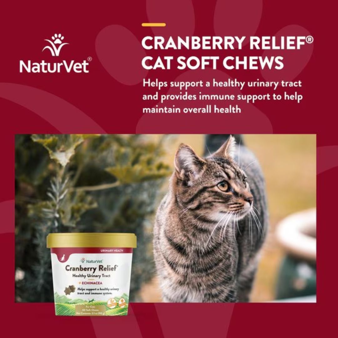 NaturVet Cranberry Relief Plus Echinacea Soft Chew - Cup