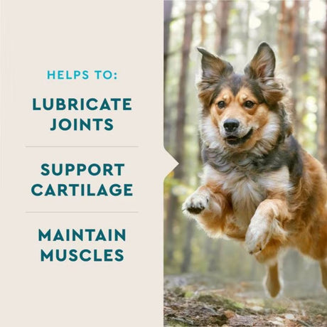 VetIQ Hip & Joint Dog Chews 60ct