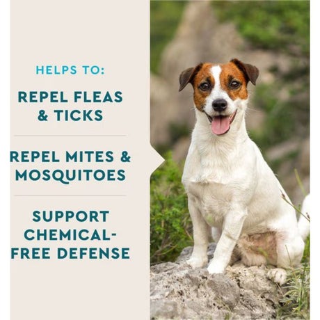 VetIQ Flea & Tick Chew Dog 60ct