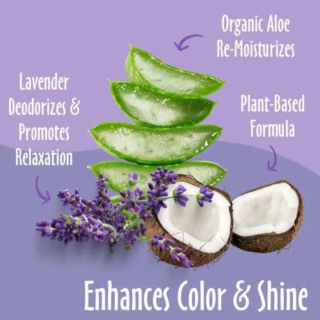 Earthbath Coat Brightening Shampoo Lavender 16oz