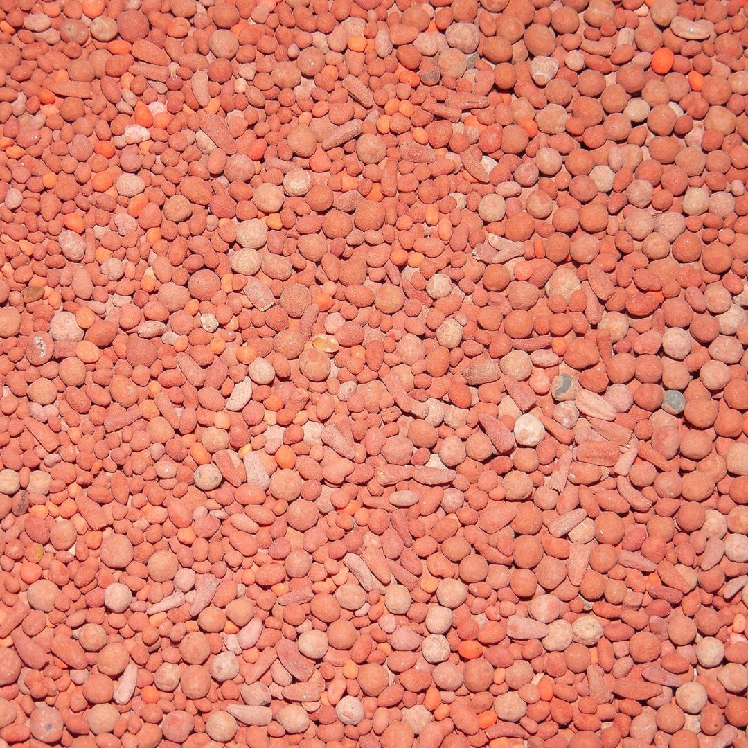 Antler King Trophy Clover Mix 3.5lb Bag - Covers 1/2 Acre