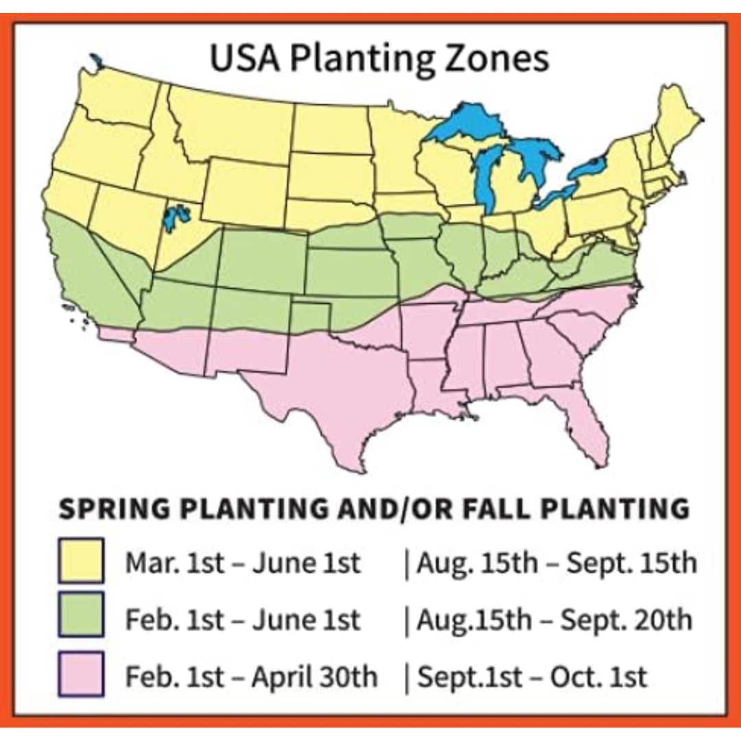 Antler King Trophy Clover Mix 3.5lb Bag - Covers 1/2 Acre