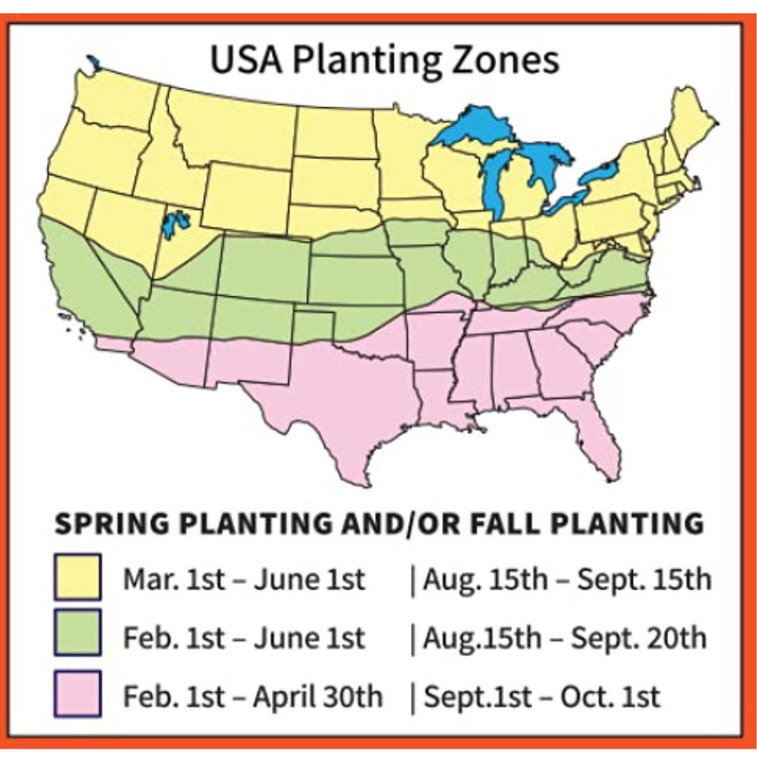 Antler King Booner Buffet 3lb Bag