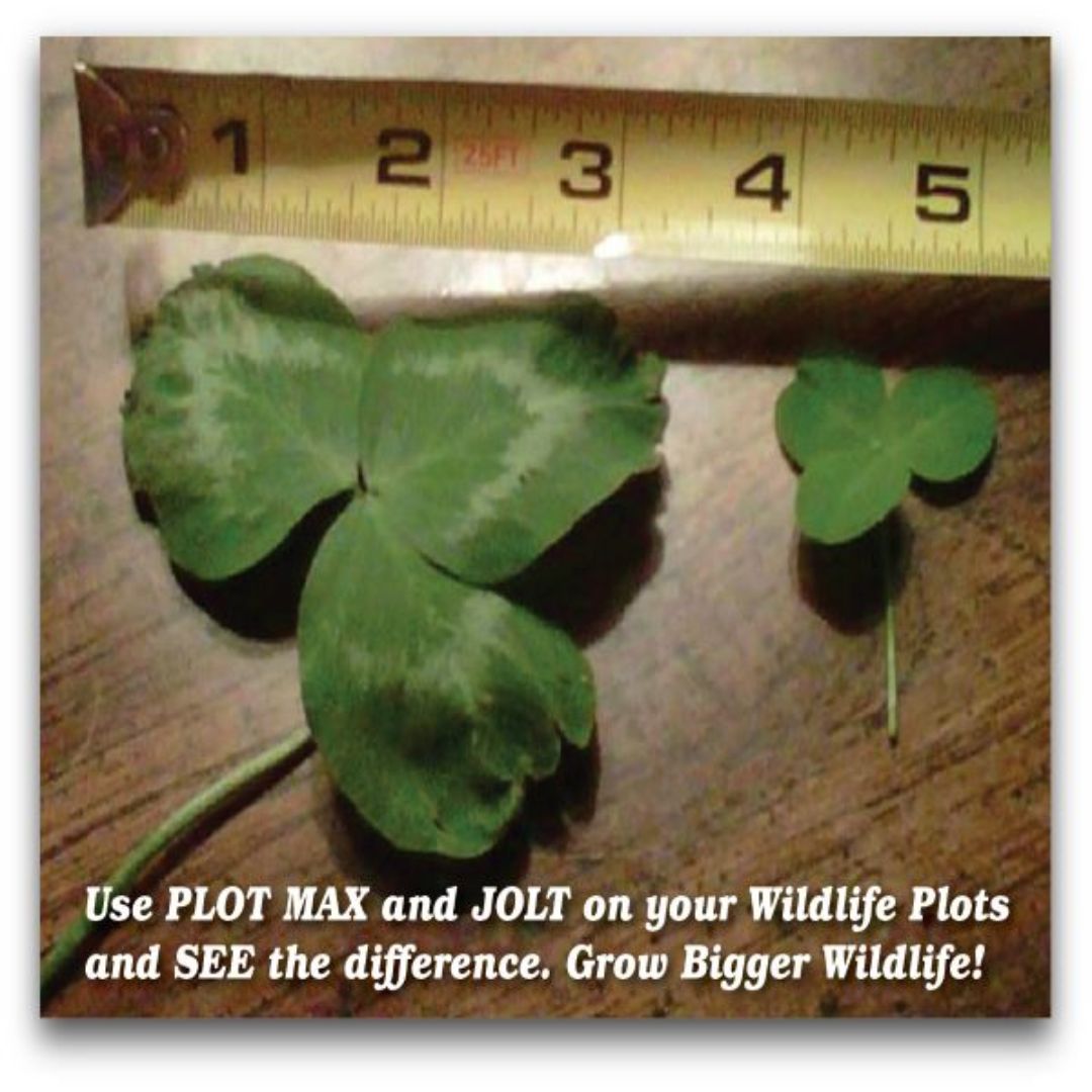 Antler King Jolt  Liquid Fertilizer 32 oz. bottle