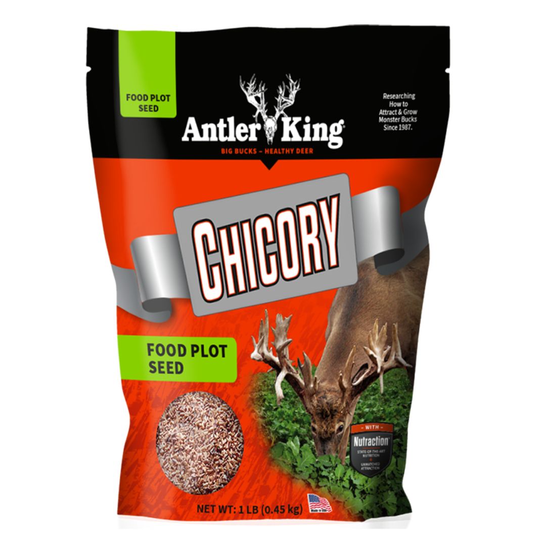 Antler King Chicory 1# bag  1/4 acre