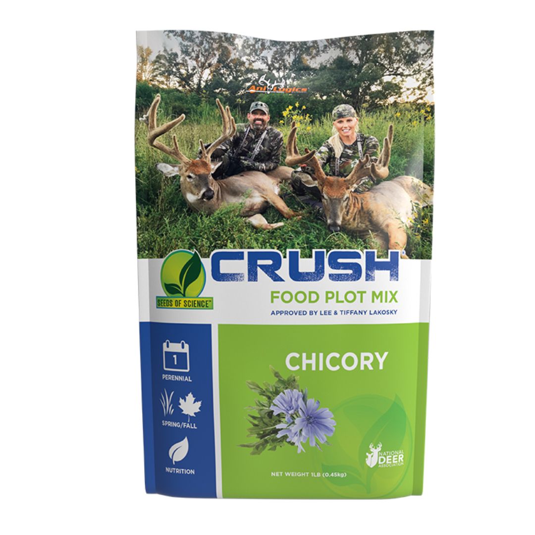 Ani Logics Crush SOS Chicory 1lb