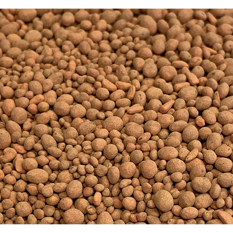 Ani Logics Clover and Chicory ½ Acre Mix 4lb Bag