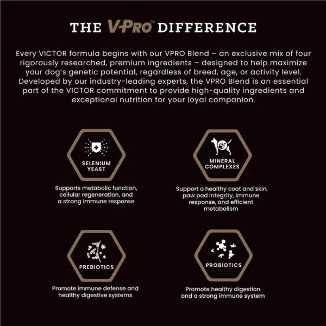 Victor Classic Hi-Pro Plus Active Dog & Puppy 5#