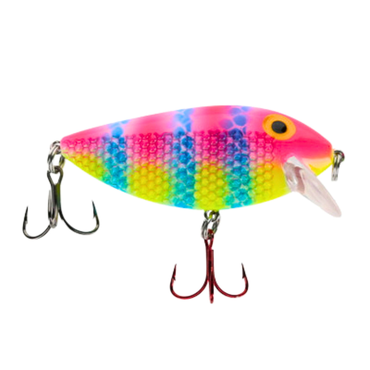 Killer Fish Shallow Twisted Tea UV