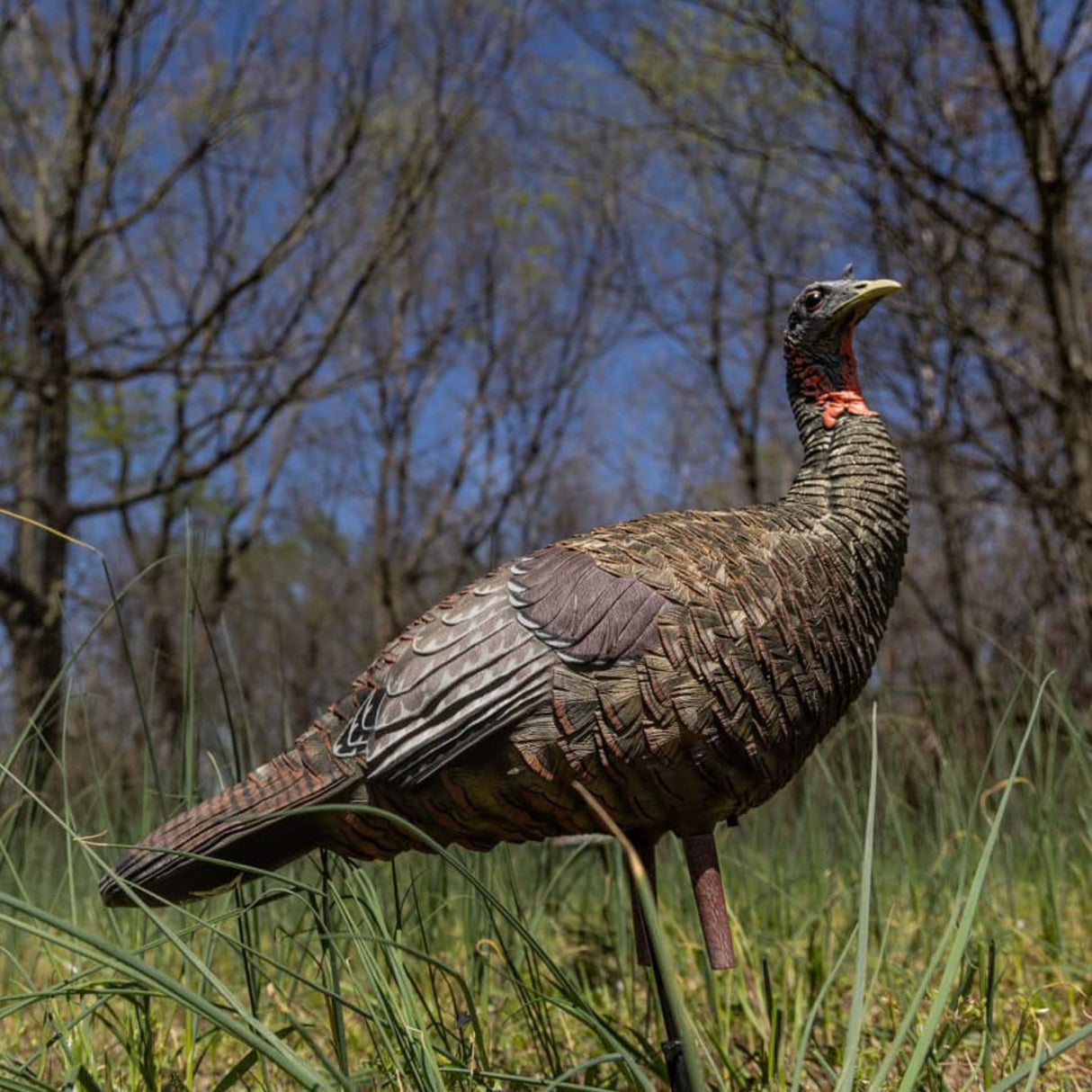 Avian-X LCD Lookout Hen Decoy AVX-AVX8006
