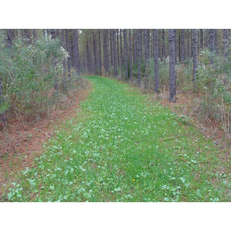 Imperial Whitetail No-Plow