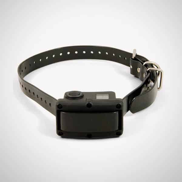 Sport Dog No Bark Collar