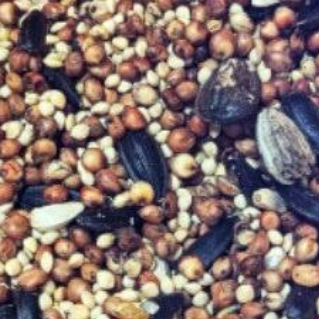 Ideal 10# Wild Bird Food