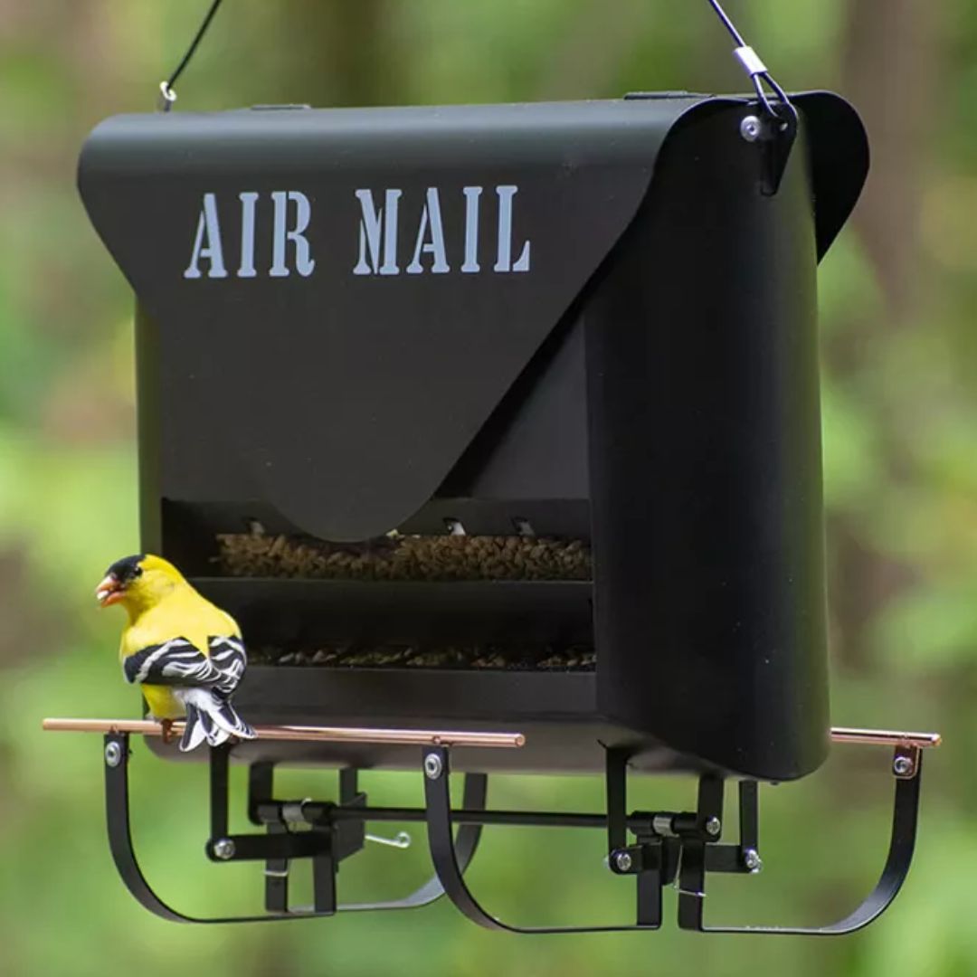 Modern Farmhouse Absolute Metal Squirrel Resistant Air Mail Feeder