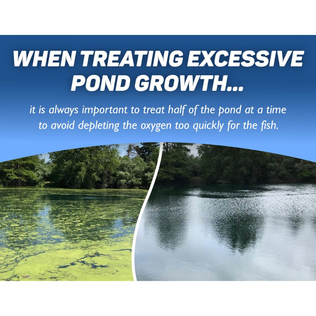 Crystal Blue Copper Sulfate Smart Crystals 5lb