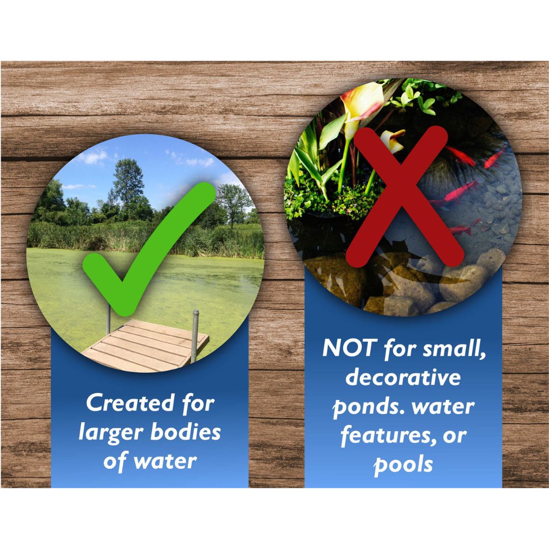 Crystal Blue Copper Sulfate Smart Crystals 5lb