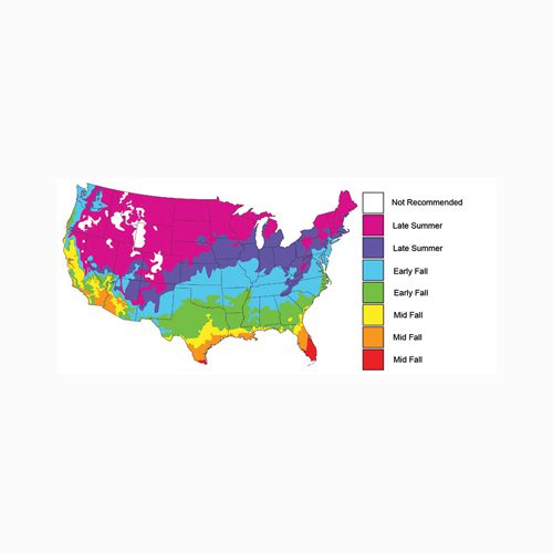 Ani-Logics Crush Turnip Food Plot - 1lb