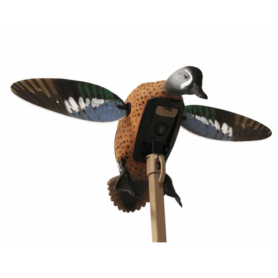Mojo Elite Series Blue Wing Teal Spinning Decoy