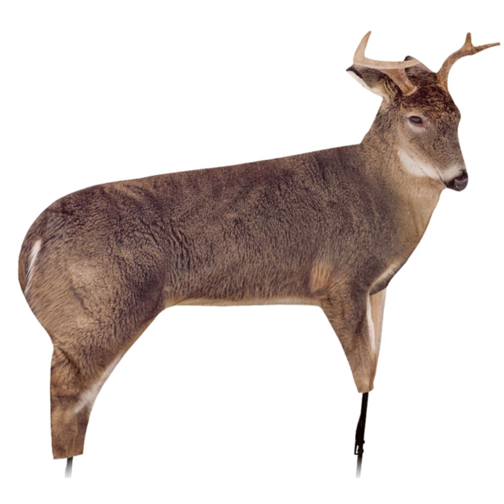 Montana The Freshman Buck