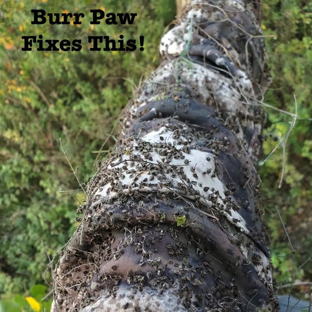 Burr Paw - Stickers and Burrs Removal Mitten