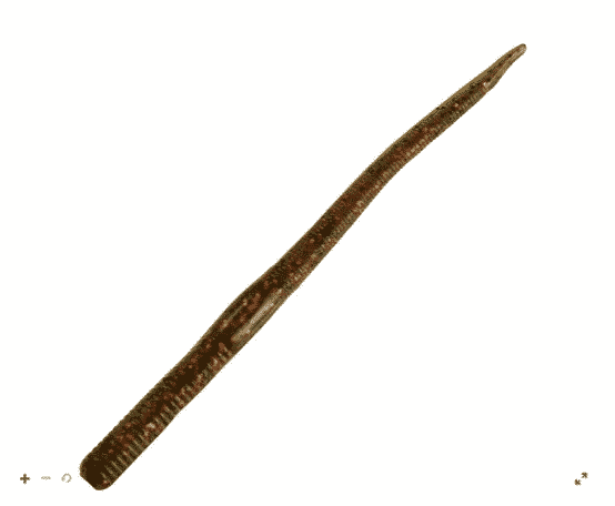 Strike King 7" Finesse Worm 8pk