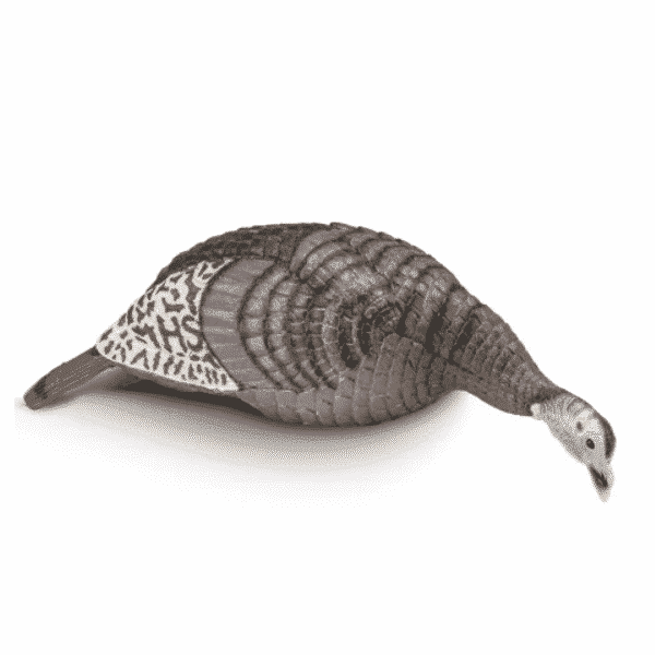 HS Strut Lite Feeding Hen