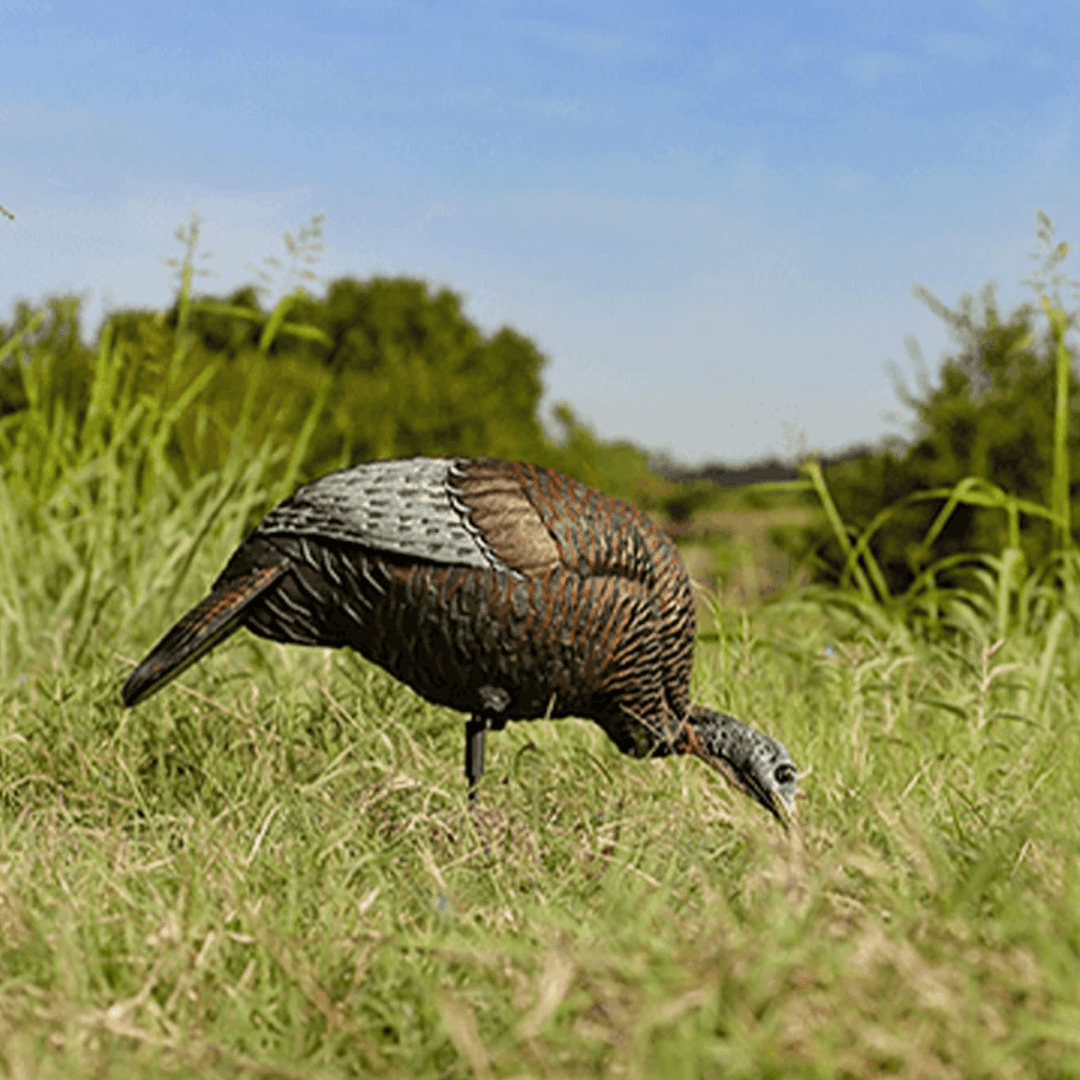 Flextone Thunder Chick Feeder Hen Turkey Decoy